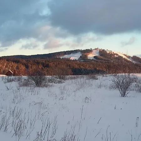 Daire Favorit